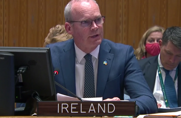 Coveney s’adresse aux Nations Unies et décrit avoir été témoin de fosses communes à Bucha
