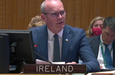 'It is madness': Coveney addresses UN and describes witnessing mass graves at Bucha