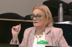 Senator objects to 'deeply personal attack' after being labelled 'crude and cold' during committee