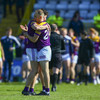Wexford beat Offaly to set up Leinster clash with Dublin