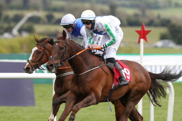 5 horses worth backing at the Punchestown Festival this week - Vimarsana News