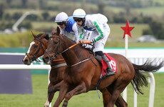 5 horses worth backing at the Punchestown Festival this week
