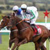 5 horses worth backing at the Punchestown Festival this week