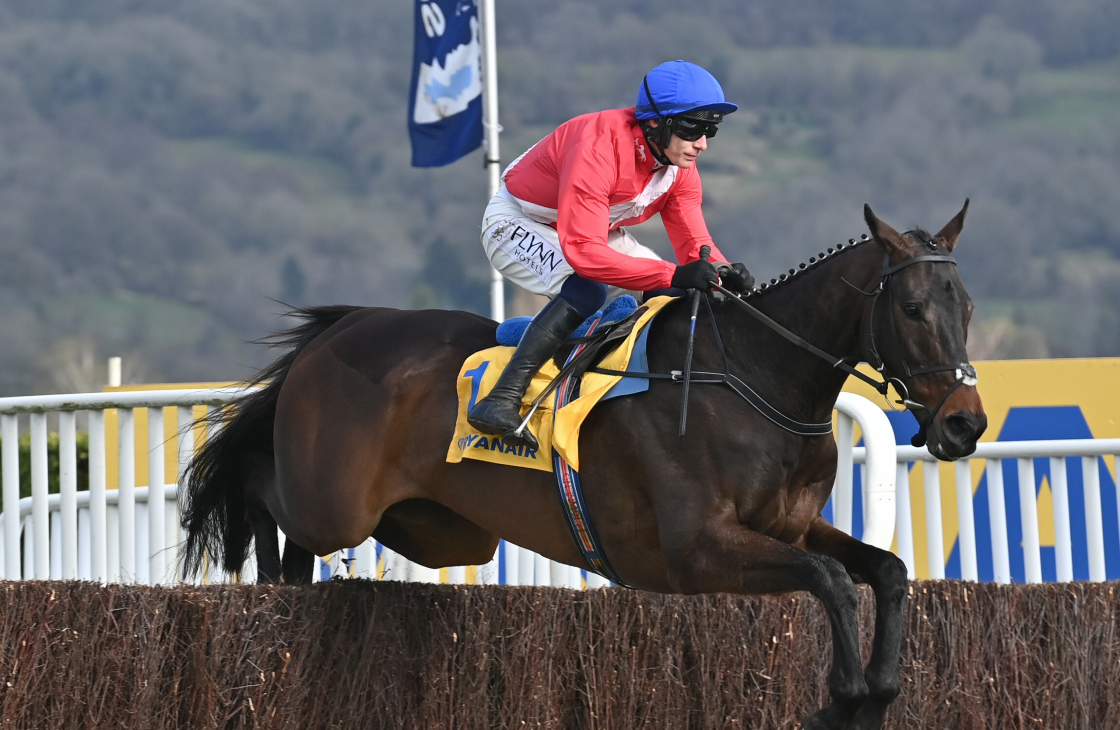 Clan Des Obeaux and Allaho headline Gold Cup field - Vimarsana News