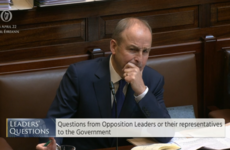 Salads and cycling aren't weird: Taoiseach comes to Eamon Ryan's defence amid Dáil criticism