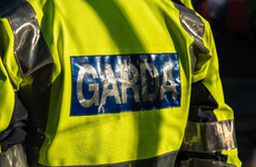 Gardaí appeal for 'victims of a crime' to come forward after violent eviction video circulates