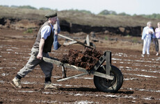 Govt told to 'go back to the bog' as Taoiseach pledges 'no ban on use of turf this year'