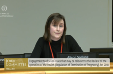 ‘Threat of criminal sanctions’ hangs over medical abortion providers, committee hears