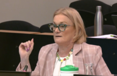 Senator Sharon Keogan quits Oireachtas Committee citing 'unsafe working environment'