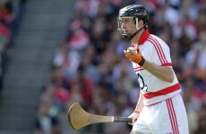 GAA hits back at MEP's 'over the top' homophobia claims