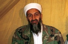 Pentagon checking Bin Laden raid book for leaks