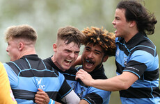 Jake Flannery scores 20 points as Shannon secure promotion to AIL Division 1A