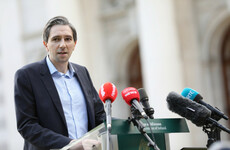 Simon Harris plans to 'overhaul' student grant system