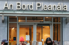 Review of certain An Bord Pleanála decisions 'needs to be done quickly' as deputy chair steps back temporarily