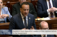 Varadkar: 'Far too many people have to spend too much of their income on rent'
