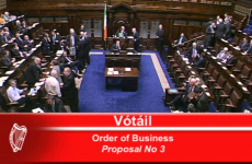 Revealed: the TDs with the Dáil's poorest voting records