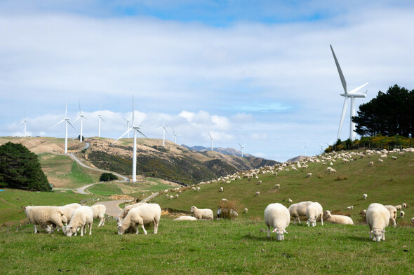 Agri-reliant countries must pave way for cutting agriculture emissions, says New Zealand expert - Vimarsana News