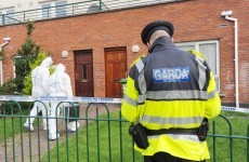 Two arrested over Mulhuddart stabbing