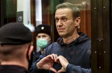 Jailed Kremlin critic Alexei Navalny set to appeal nine-year prison sentence