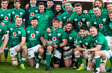 CJ Stander believes Ireland will 'peak at the perfect time' for World Cup
