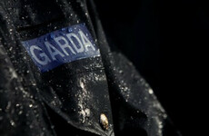 Former Garda says he 'hated' being forced to return to work after making bullying complaints