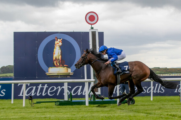 Native back on the winning Trail in Irish 2,000 Guineas - Vimarsana News