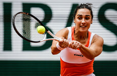 Trevisan into first Grand Slam semi-final at French Open