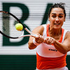 Trevisan into first Grand Slam semi-final at French Open