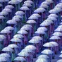 In pics: The Paralympic Opening Ceremony