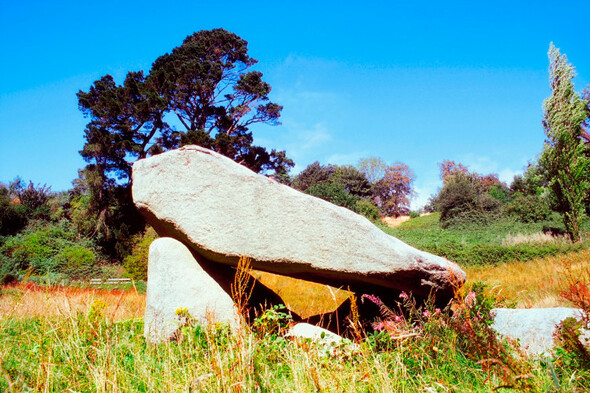 Locals fear impact of 534-unit build-to-rent scheme on ancient Glendruid dolmen - Vimarsana News
