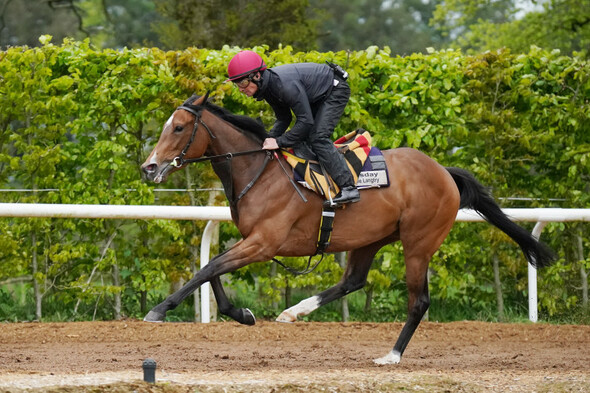 Tuesday leads four-strong Oaks raid for Aidan O'Brien · The42 - Vimarsana News