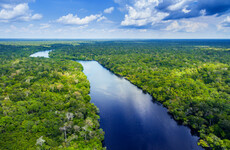 British journalist and Brazilian indigenous expert missing in remote part of Amazon