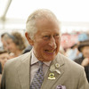 'Appalling': UK's Prince Charles privately expresses concerns about Rwanda migrant policy