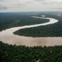 Line of investigation into disappearances in Brazil’s Amazon point to ‘fish mafia’ involvement