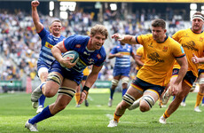 Stormers eight Evan Roos voted URC Fans' Player of the Season