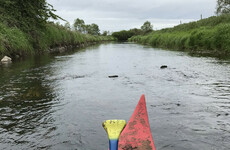 Opinion: Rivers are our last true wilderness in Ireland