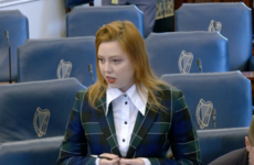 'Your friendship and generosity will never be forgotten': Ukrainian MPs praise Ireland's response to war