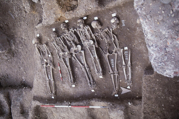 Mystery of where Black Death emerged finally solved after more than 600 years, scientists say - Vimarsana News