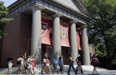 Harvard launches plagiarism investigation into over 100 students