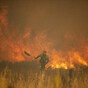 Firefighters battle wildfires as Europe is hit by heatwave
