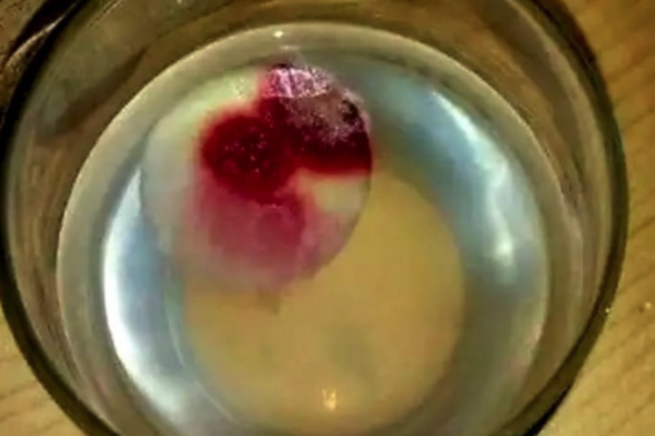 Debunk: No, this photo doesn't show a 'bloody' eucharist at a Mayo church - Vimarsana News