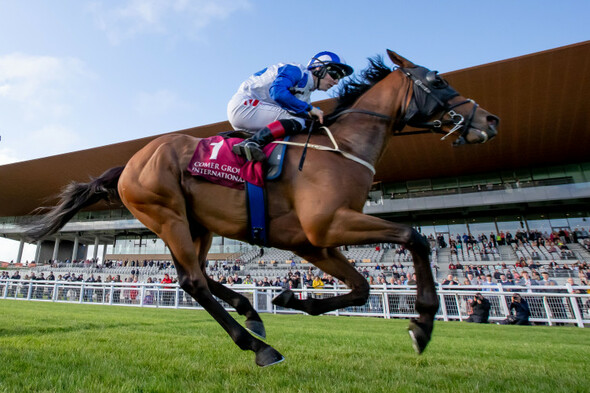 Camorra cruises to Curragh win in headline show for a clinical combination - Vimarsana News