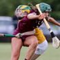 Wins for Kilkenny, Galway, and Limerick send camogie championship group to the wire