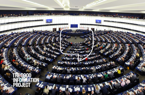 Депутаты Европарламента Ирландии выразили обеспокоенность по поводу заседаний парламента в Страсбурге