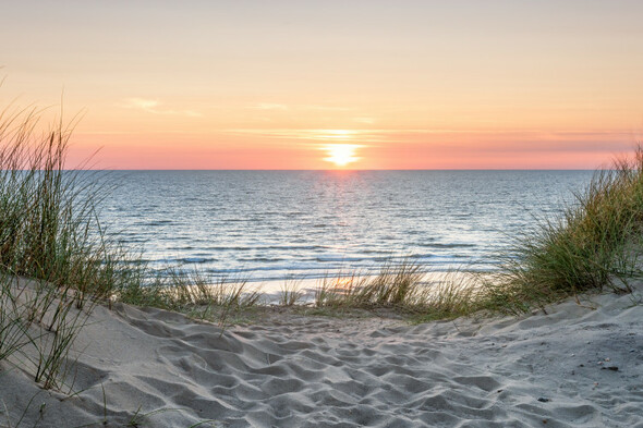 Poll: Do you think it's okay to pee in the sea? - Vimarsana News