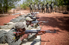 Sinn Féin TD accused of 'slur' against Irish Defence Forces' training work in Mali