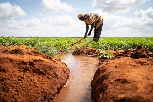 'The conflict takes two forms': How worsening droughts are fuelling tensions in Kenya - Vimarsana News