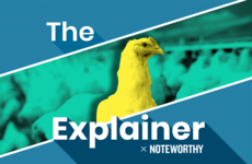 The Explainer x Noteworthy: Is Ireland a dumping ground for poultry manure?
