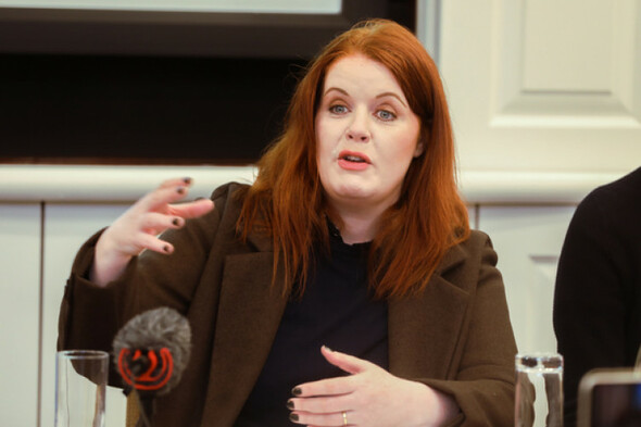 Suspended Green TD Hourigan undecided on Dáil no confidence vote - Vimarsana News