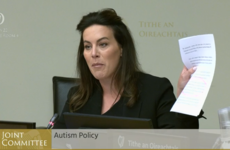 TD ‘beyond embarrassed’ by lack of action on services for autistic children